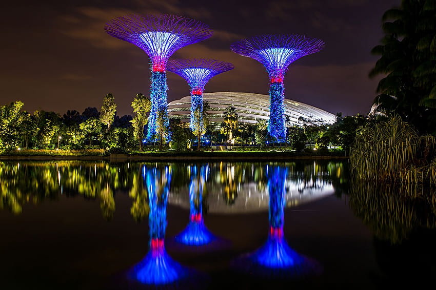 desktop-wallpaper-singapore-gardens-by-the-bay-nature-pond-reflection-night-night-time-gardens-by-the-bay